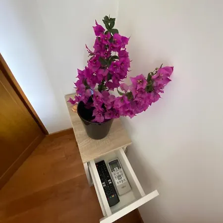 Attico Il Gabbiano Apartment